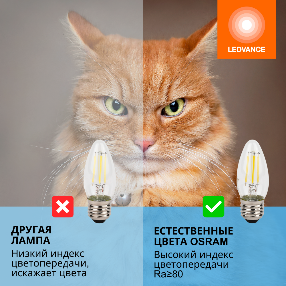 фото Лампочки светодиодные филаментные OSRAM LED STAR, 5Вт, 5 шт в наборе, Е27, 6500К холодный белый свет, 600лм, колба свеча прозрачная стекло