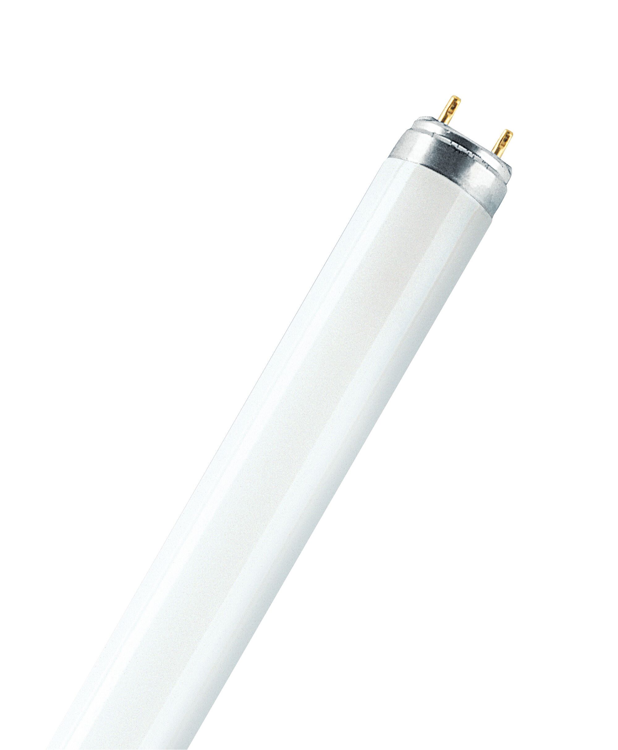 фото L 15W-640 FLH1 OSRAM