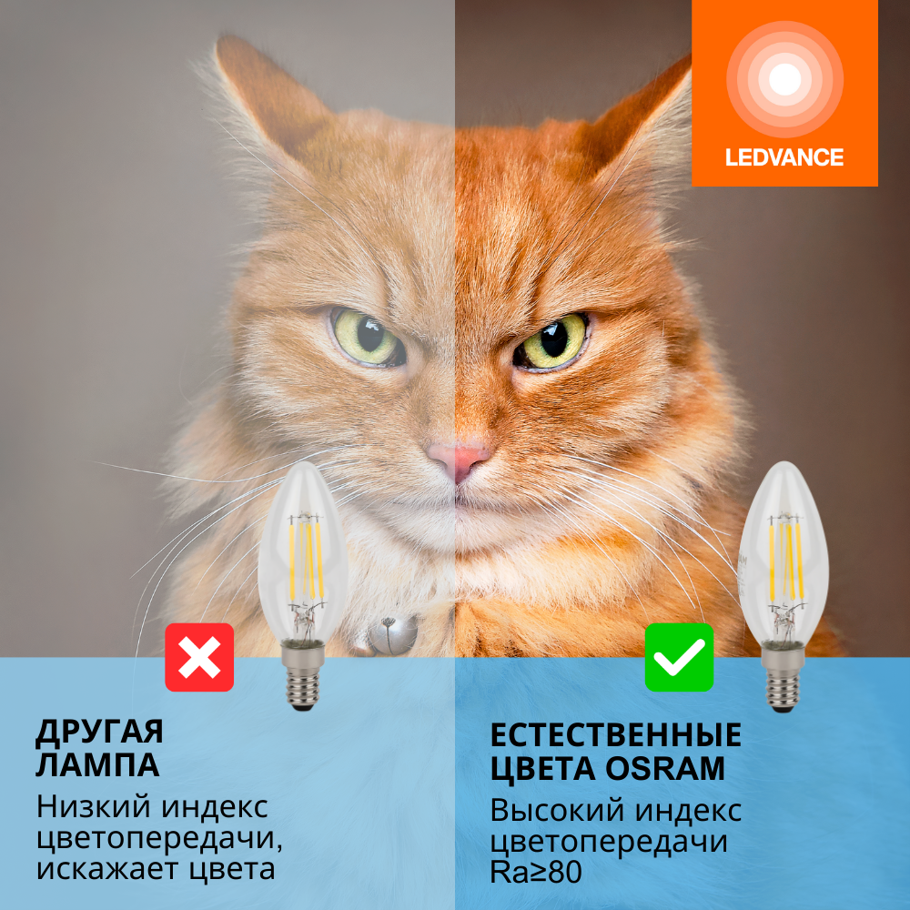фото Лампочки светодиодные филаментные OSRAM LED STAR, 4Вт, 5 шт в наборе, Е14, 6500К холодный белый свет, 470лм, колба свеча прозрачная стекло