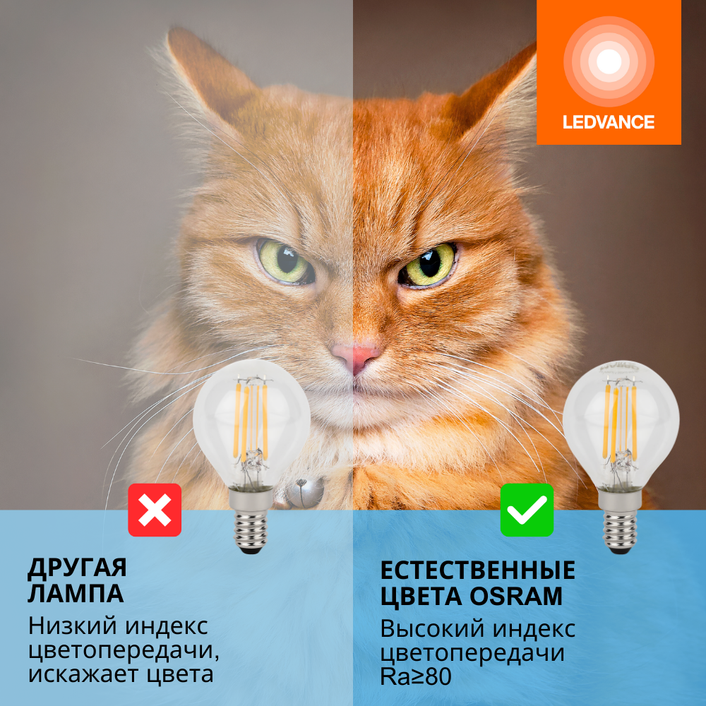 фото Лампочки светодиодные филаментные OSRAM LED STAR, 5Вт, 5 шт в наборе, Е14, 6500К холодный белый свет, 600лм, колба шар прозрачная стекло