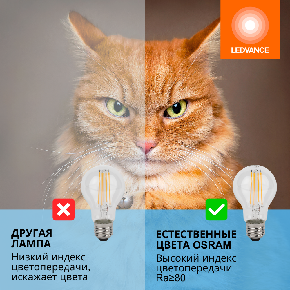 фото Лампочки светодиодные филаментные OSRAM LED STAR, 6Вт, 5 шт в наборе, Е27, 6500К холодный белый свет, 806лм, колба груша прозрачная стекло