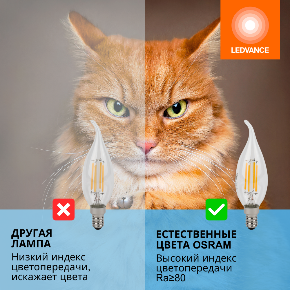 фото Лампа светодиодная филаментная OSRAM LED Star, 600лм, 5Вт (замена 60Вт), 6500К 