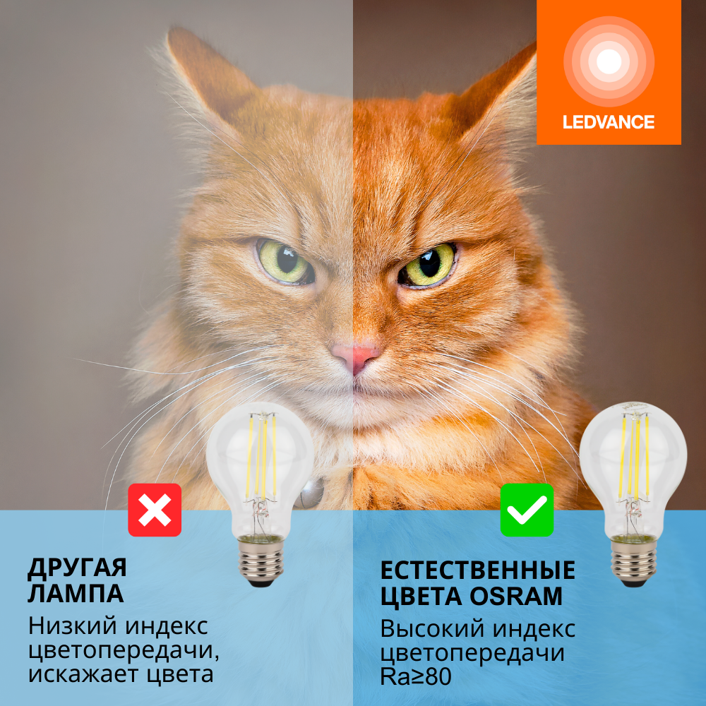 фото Лампочки светодиодные филаментные OSRAM LED STAR, 7,5Вт, 5 шт в наборе, E27, 6500К холодный белый свет, 1055лм, колба груша прозрачная стекло