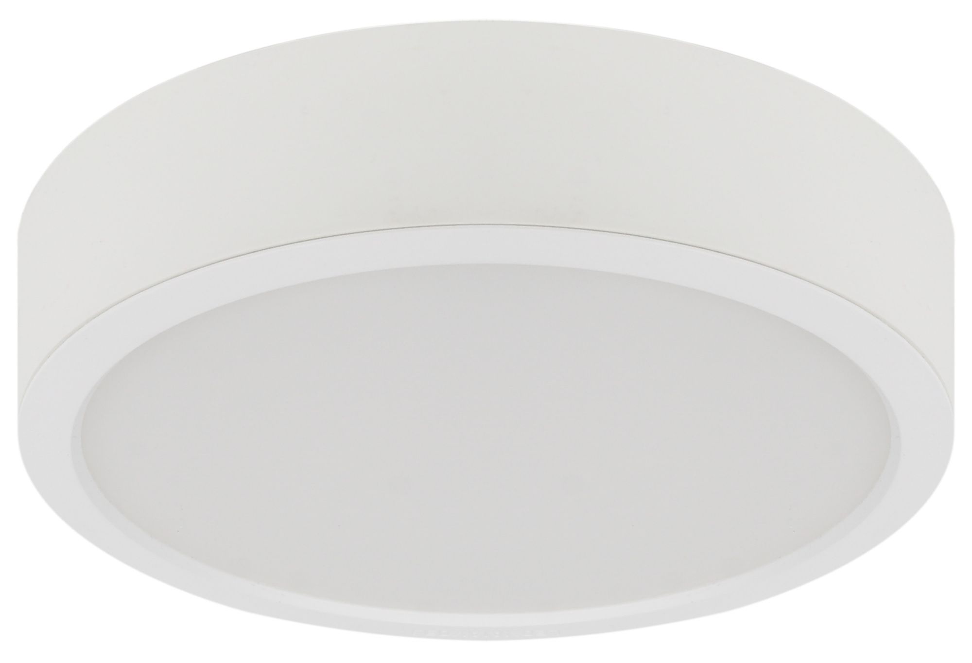 фото ECOCLASS DL 24W 865 WT IP44 FS1 LEDV